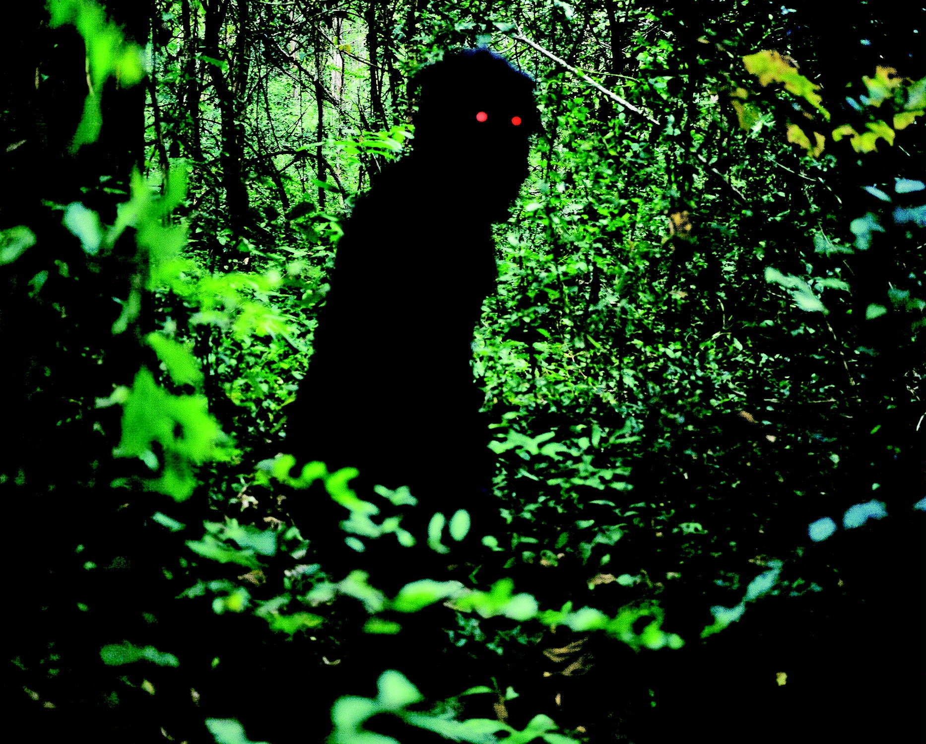 Image du film Oncle Boonmee 10654