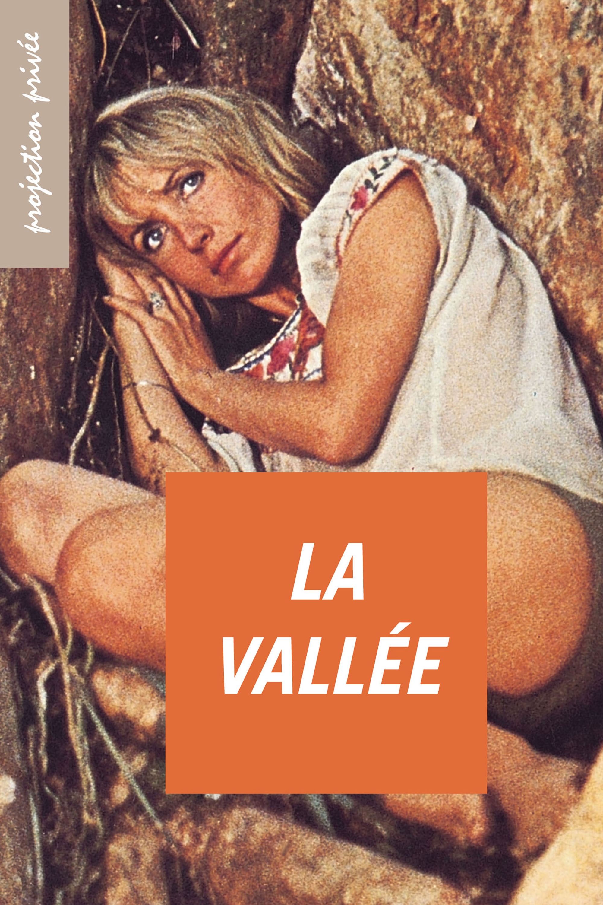 Affiche du film La Vallée 13264