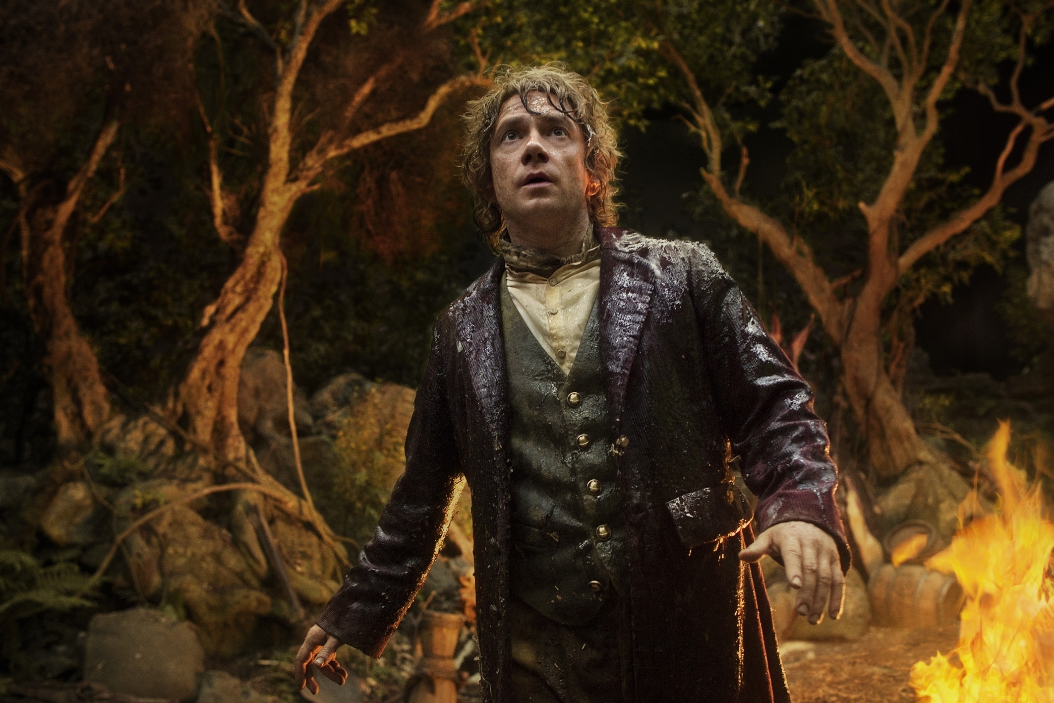 Image du film Le Hobbit : un voyage inattendu (version longue) 15334