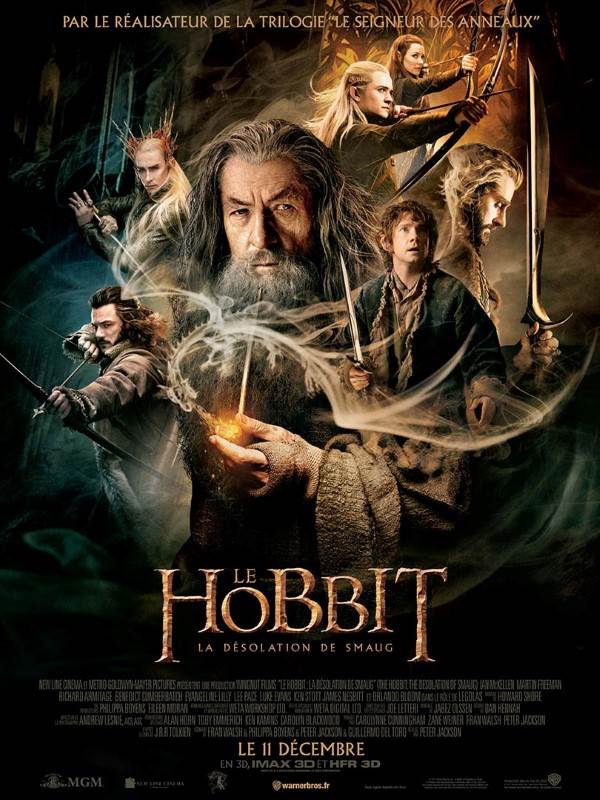 Affiche du film Le Hobbit : la désolation de Smaug 24666