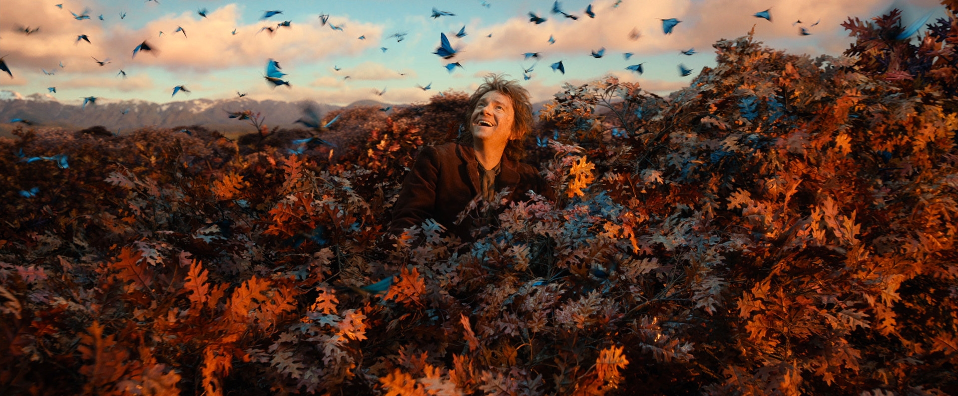 Image du film Le Hobbit : la désolation de Smaug db3b4601-21db-47ef-bbbd-963e51cfd70b