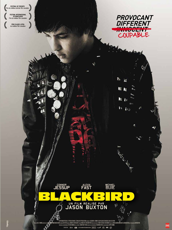 Affiche du film Blackbird 8941