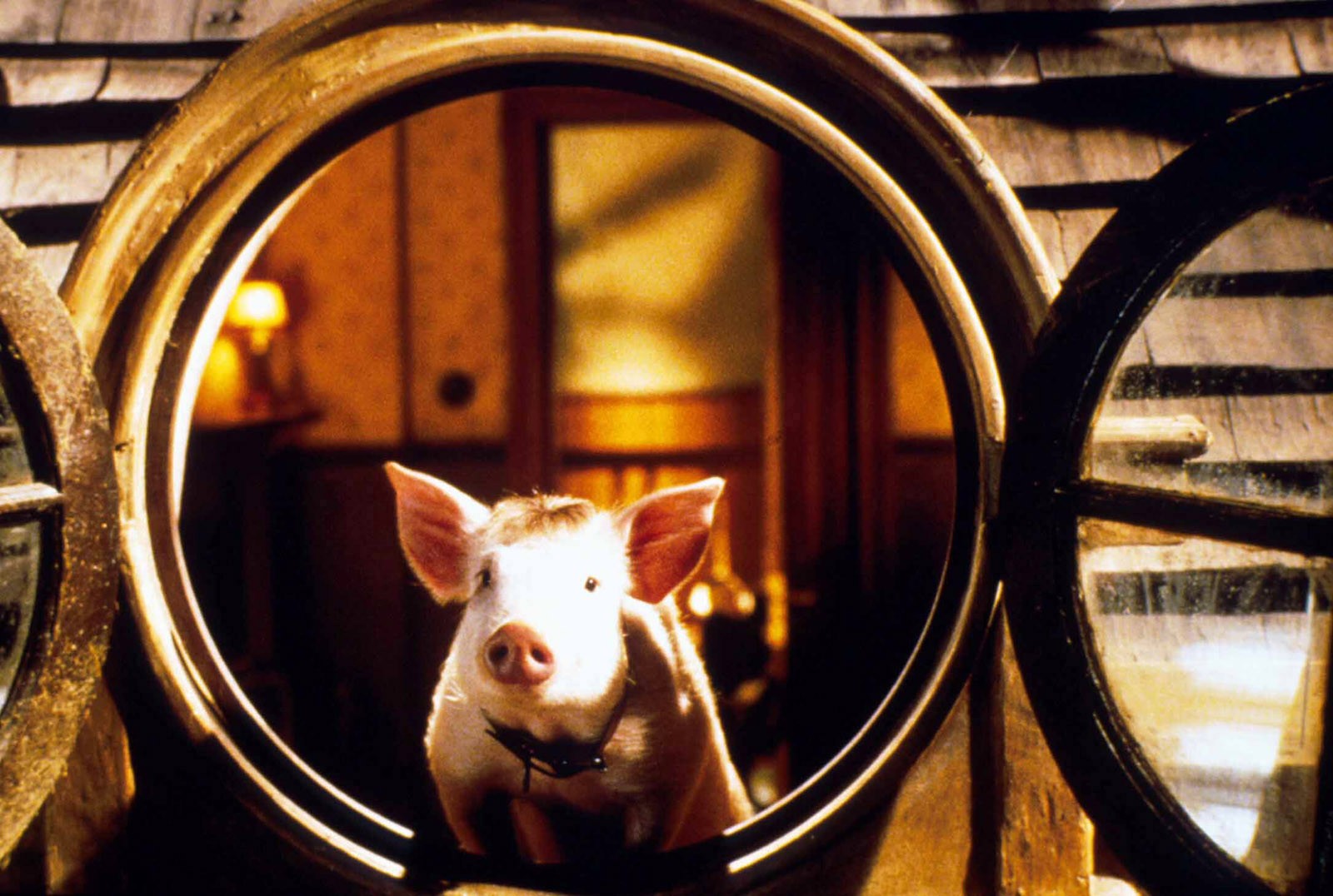 Image du film Babe, le cochon dans la ville 16638