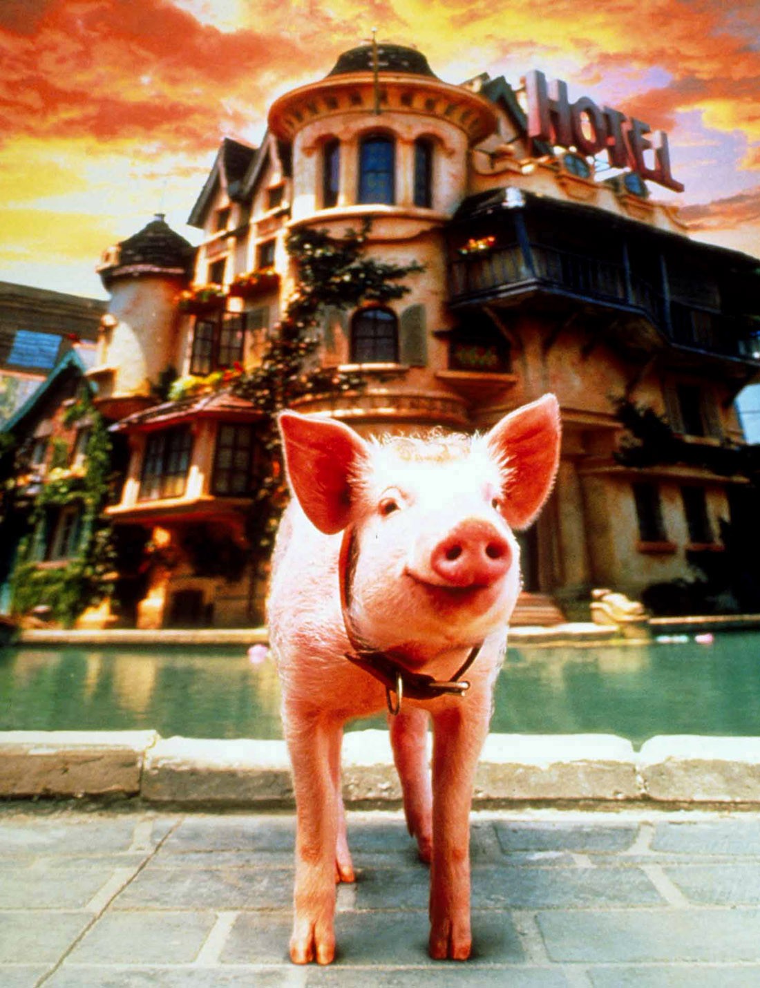 Affiche du film Babe, le cochon dans la ville 135443
