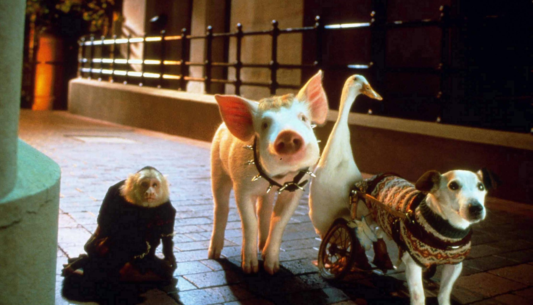 Image du film Babe, le cochon dans la ville 356b5df5-eade-404f-8370-e795ed007687