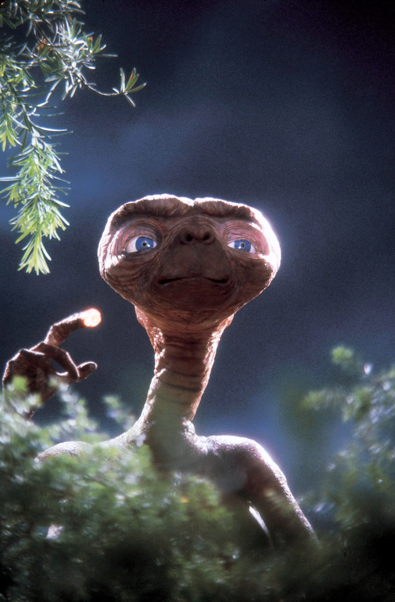 Affiche du film E.T. l'extraterrestre (nouveau montage) 24188