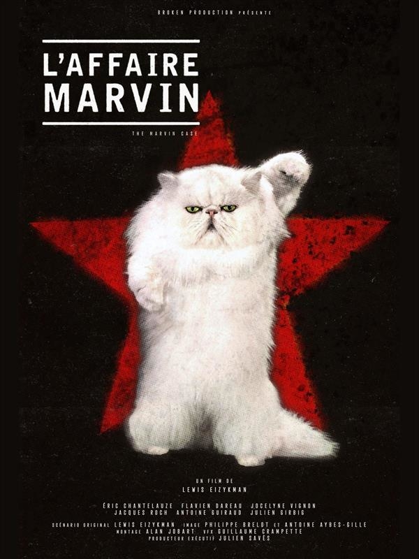 Affiche du film L' Affaire Marvin 175753