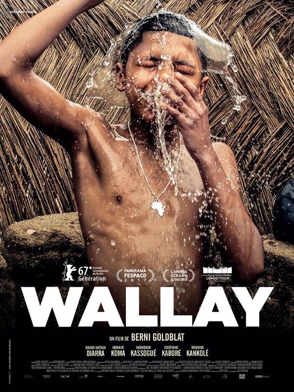 Affiche du film Wallay 15344