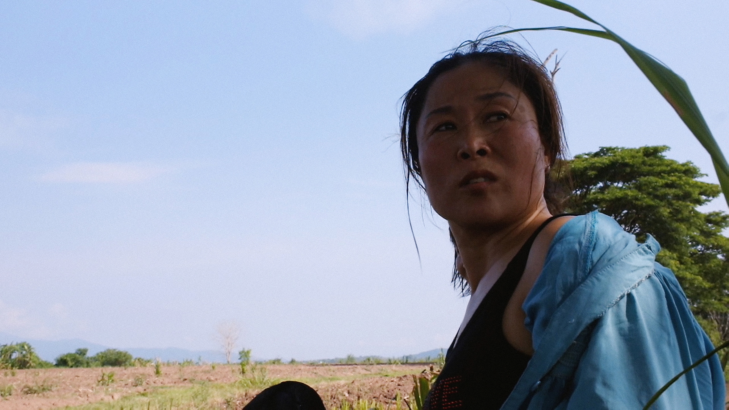 Image du film Madame B, histoire d'une Nord-Coréenne 37b2c886-b645-42fb-ad81-5b4ff4f3157a