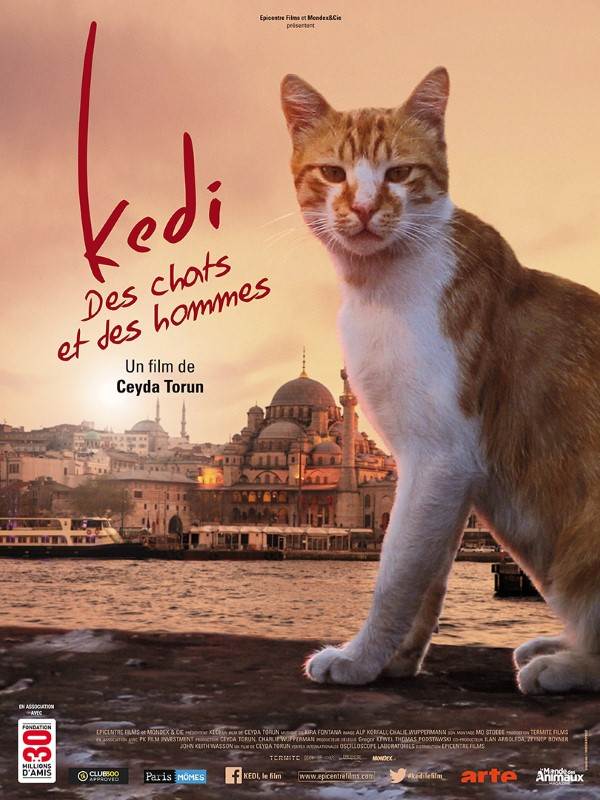 Affiche du film Kedi : des chats et des hommes 18301
