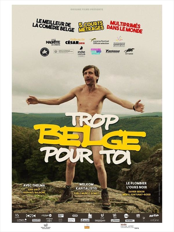 Affiche du film Trop Belge pour toi 140388