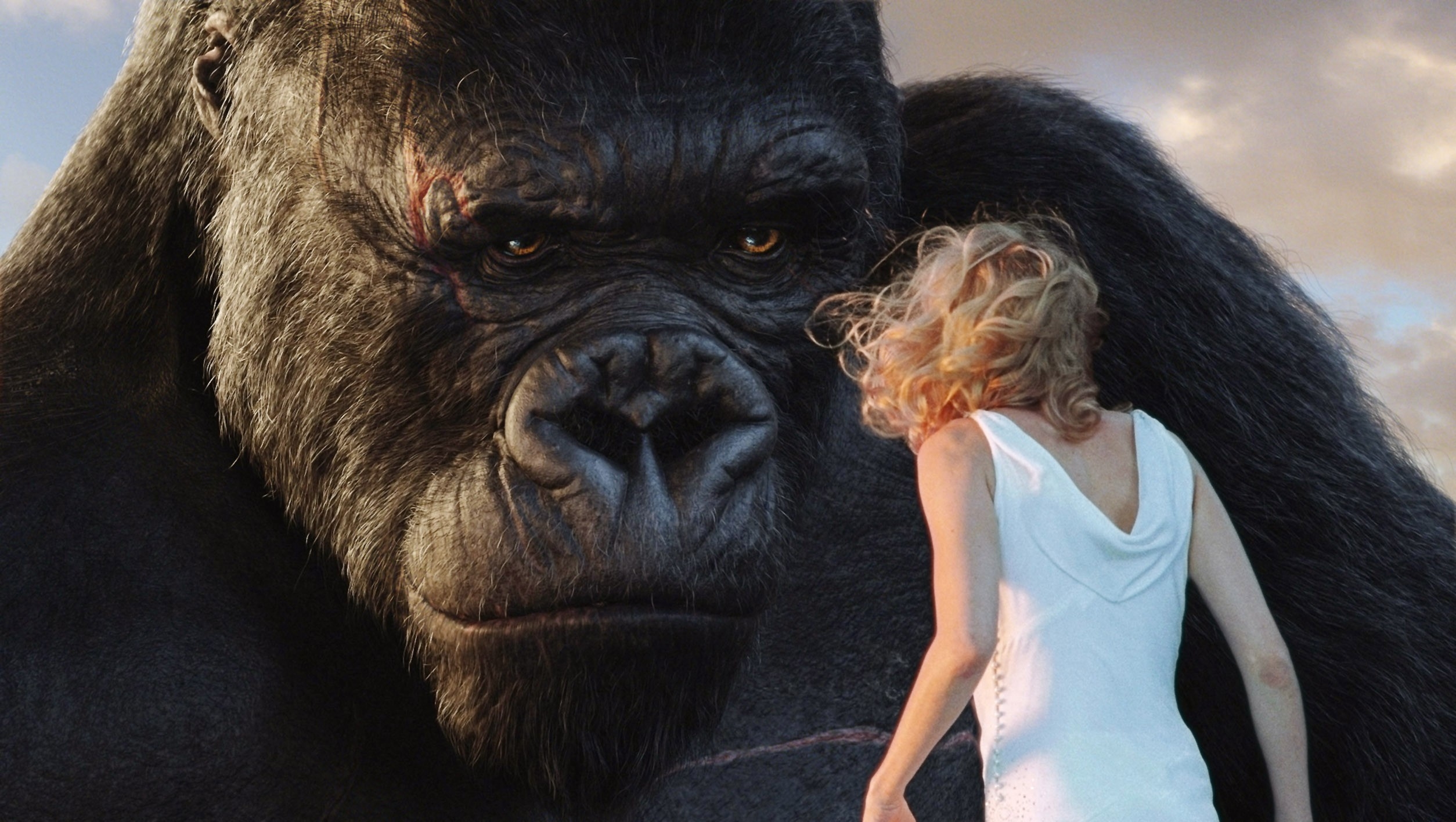 Image du film King Kong (version longue) dd6ee5ad-2970-4dc1-a1ef-95c52f7f11d1