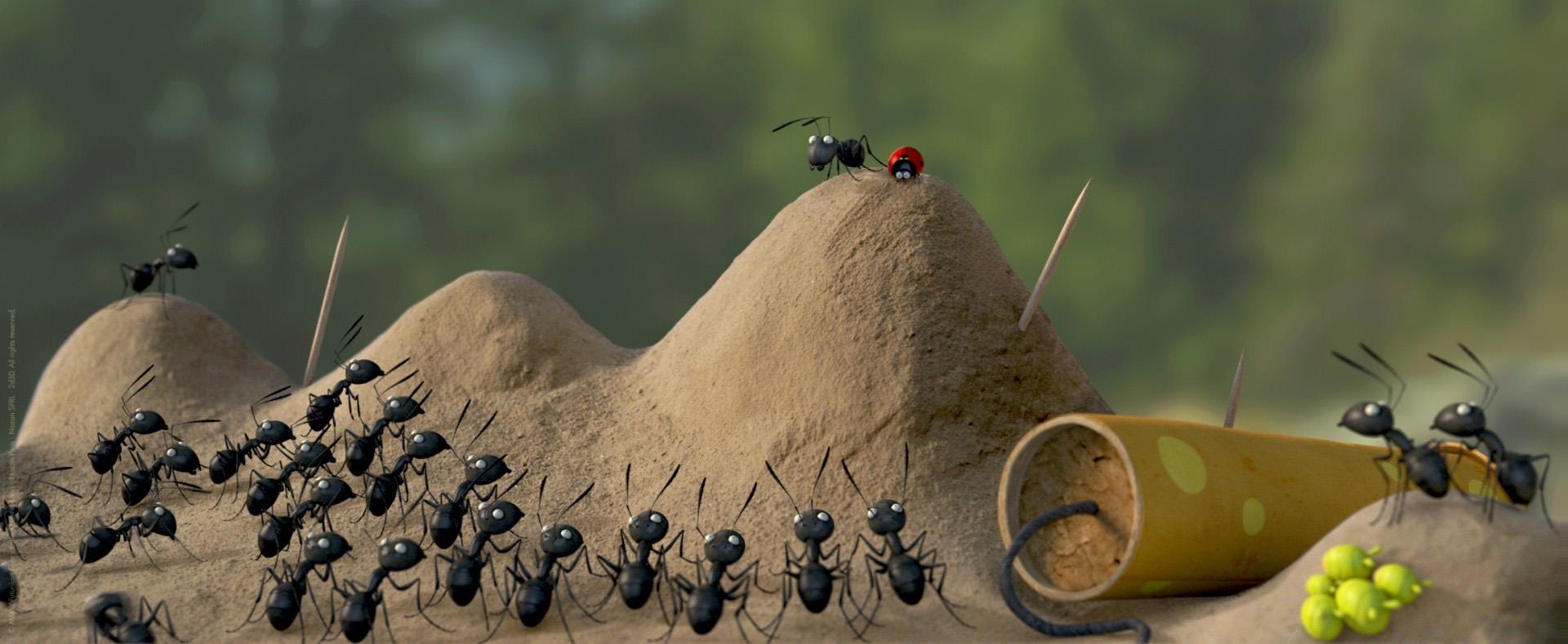 Image du film Minuscule : la vallée des fourmis perdues d5f79bf8-1242-46ce-9763-eb9bd431c31a