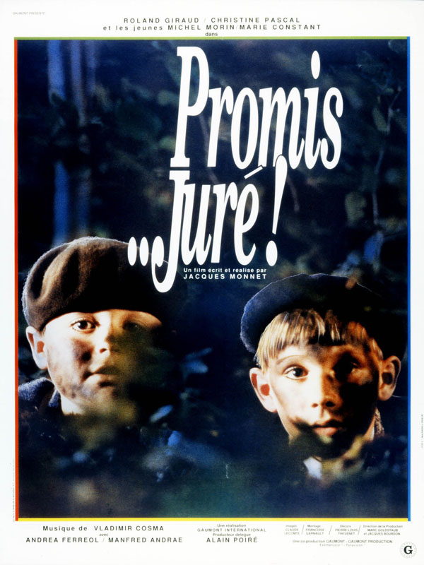 Affiche du film Promis... juré ! 166719