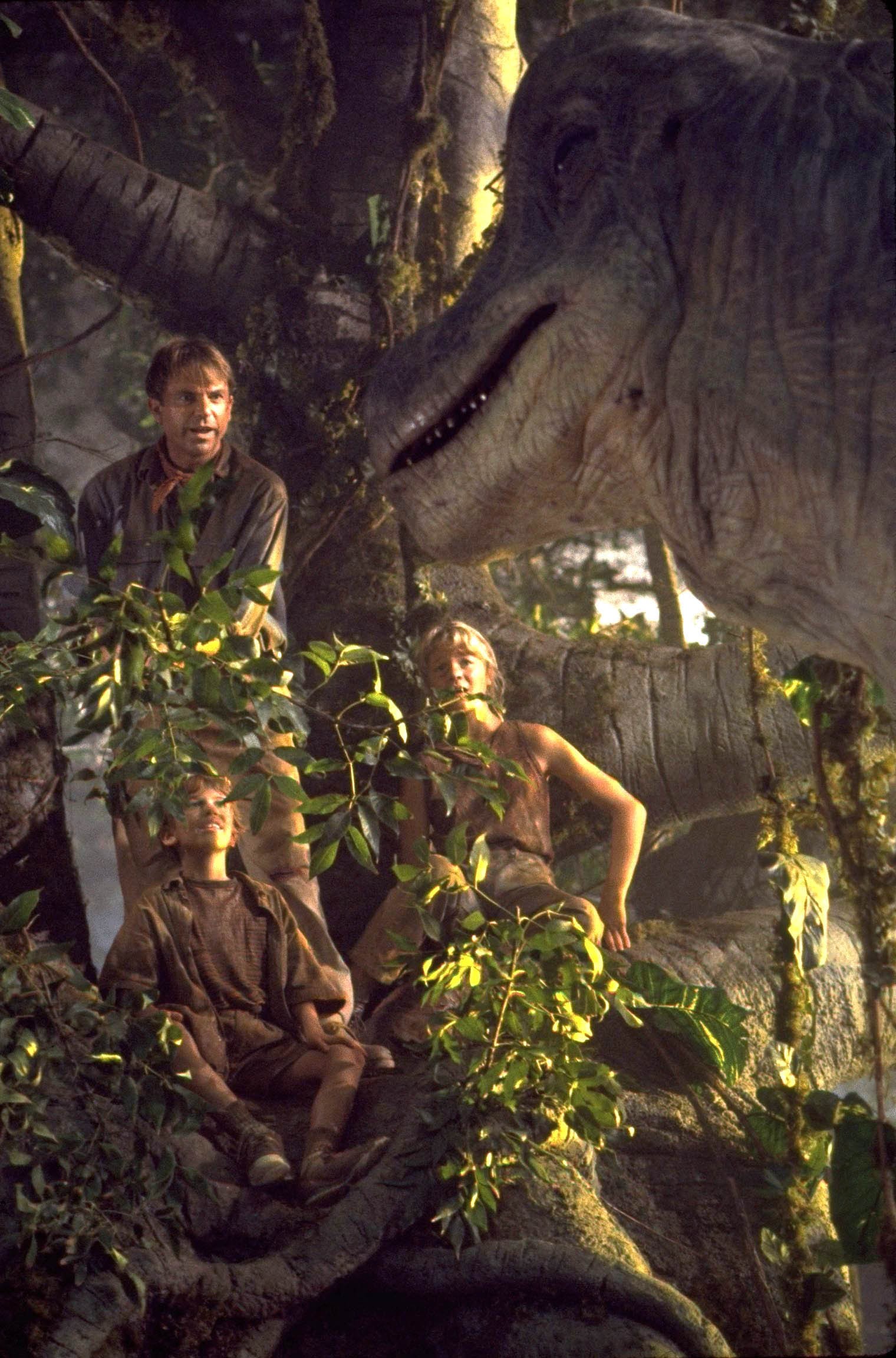 Image du film Jurassic Park 14d4a093-8267-4135-aaa0-cfafdcf190f1