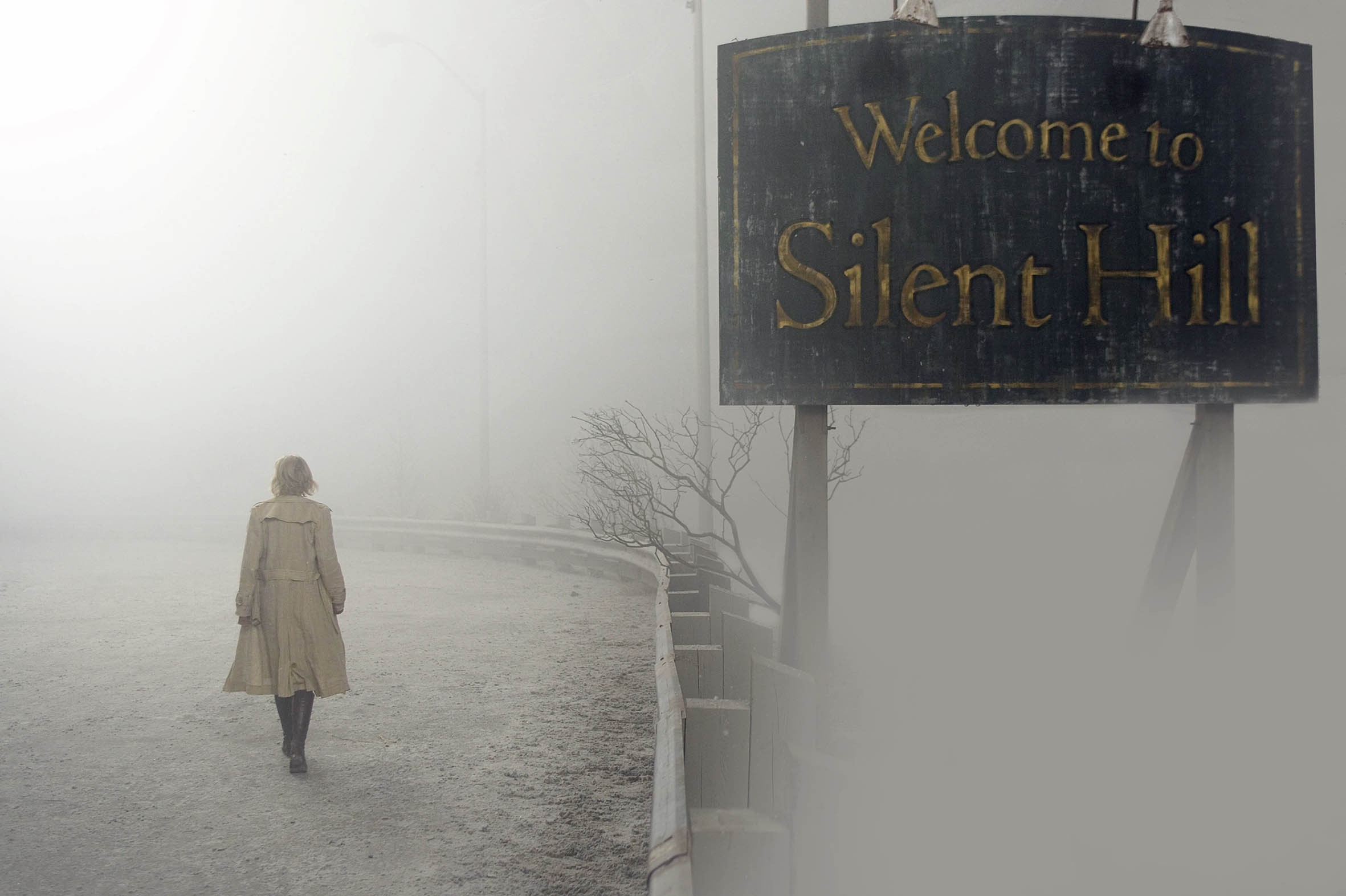 Image du film Silent Hill 135db2be-ff7f-4262-9a4a-eb3e51110047