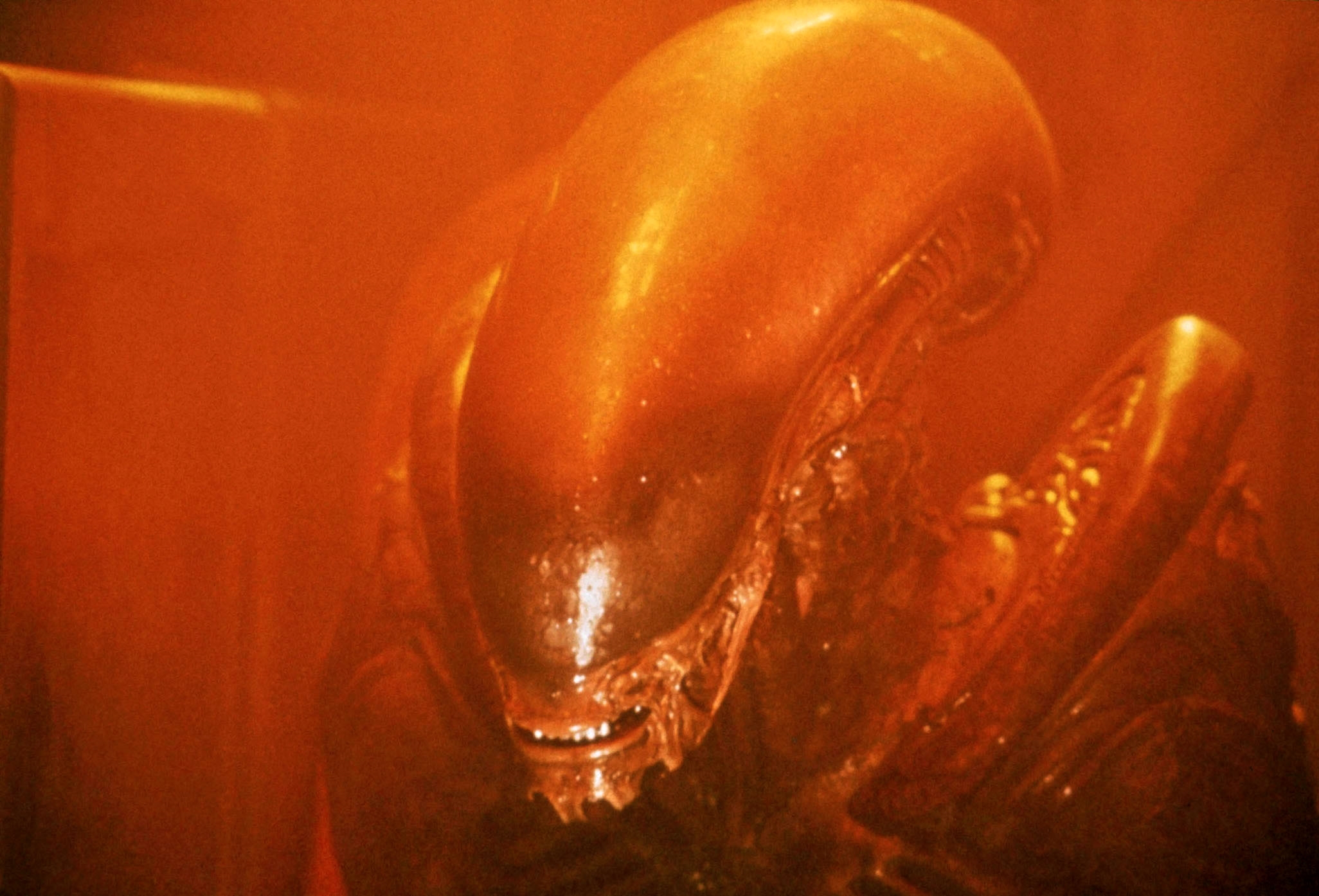 Image du film Alien 3 e7e10296-4cae-45e2-820a-1fe9c3e351d2