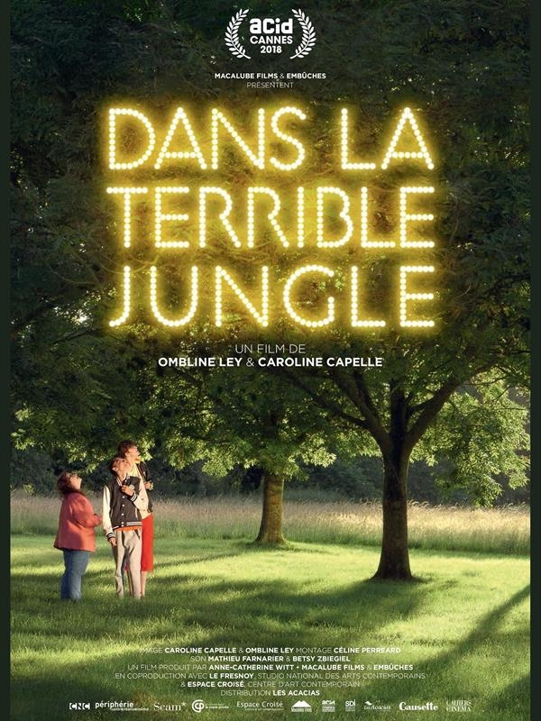 Affiche du film Dans la terrible jungle 29781