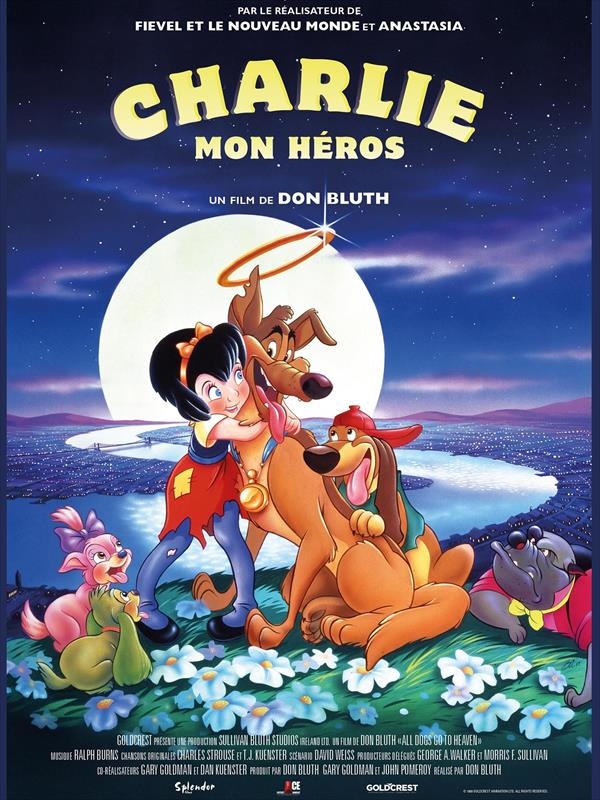 Affiche du film Charlie, mon héros 135850