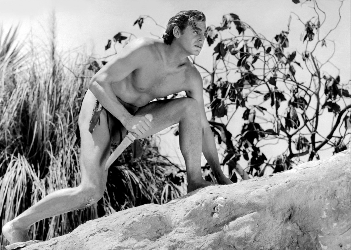 Image du film Tarzan, l'homme-singe 37e03b77-b08d-40f7-9a61-d74511e44edb