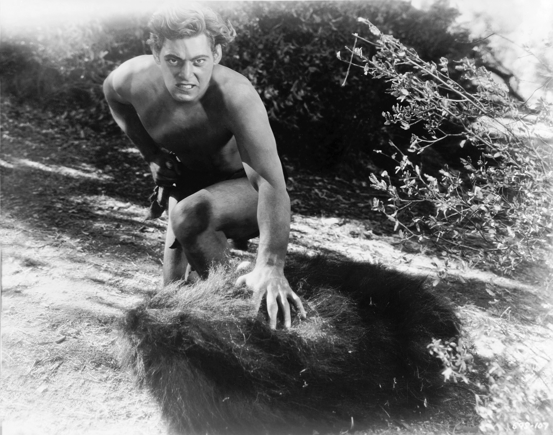 Image du film Tarzan, l'homme-singe 3aa6b383-6f65-4e5b-b285-c9e5e329c004