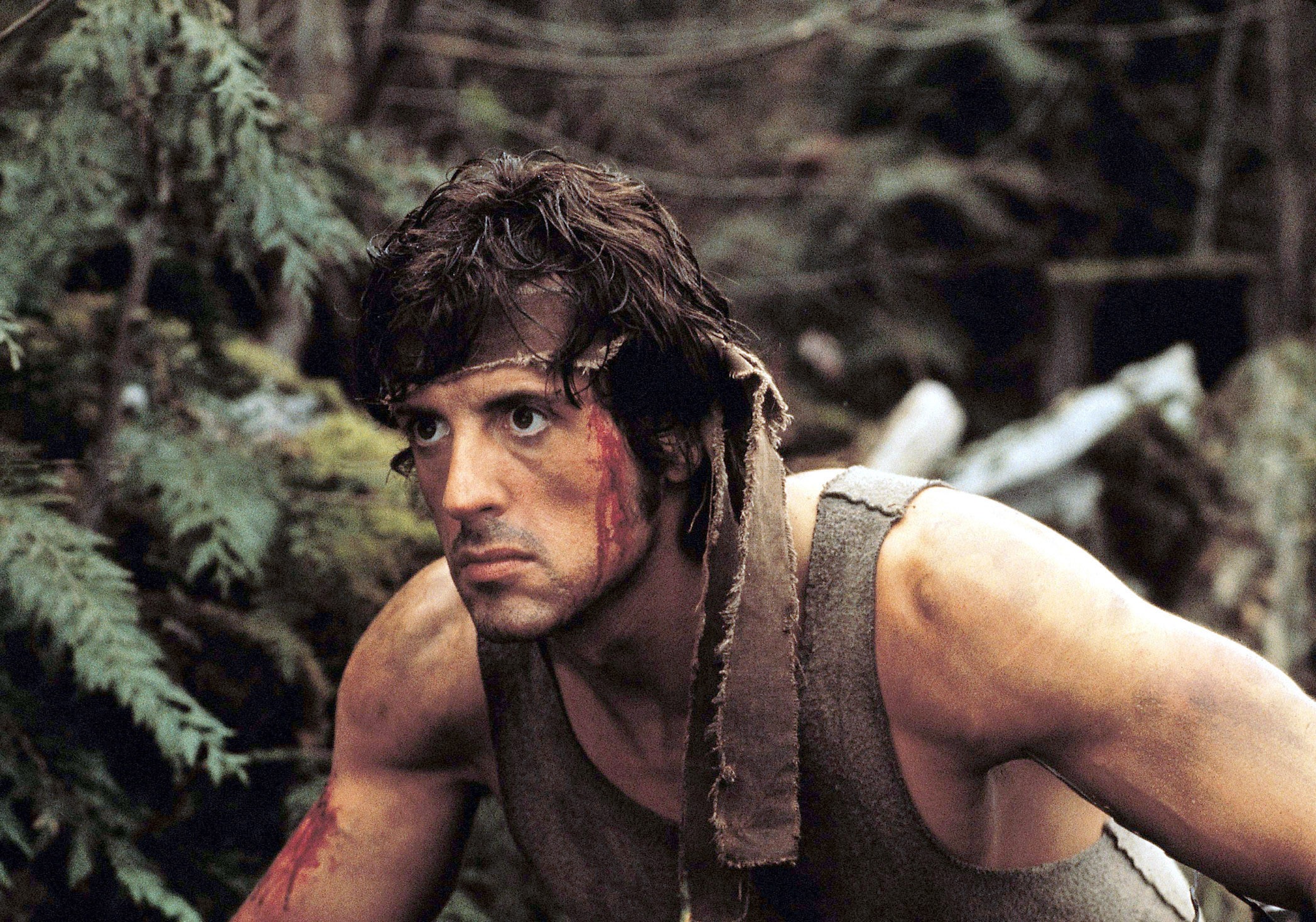 Image du film Rambo : First Blood 0c4ed922-cf85-442f-a70a-97992d8646b5