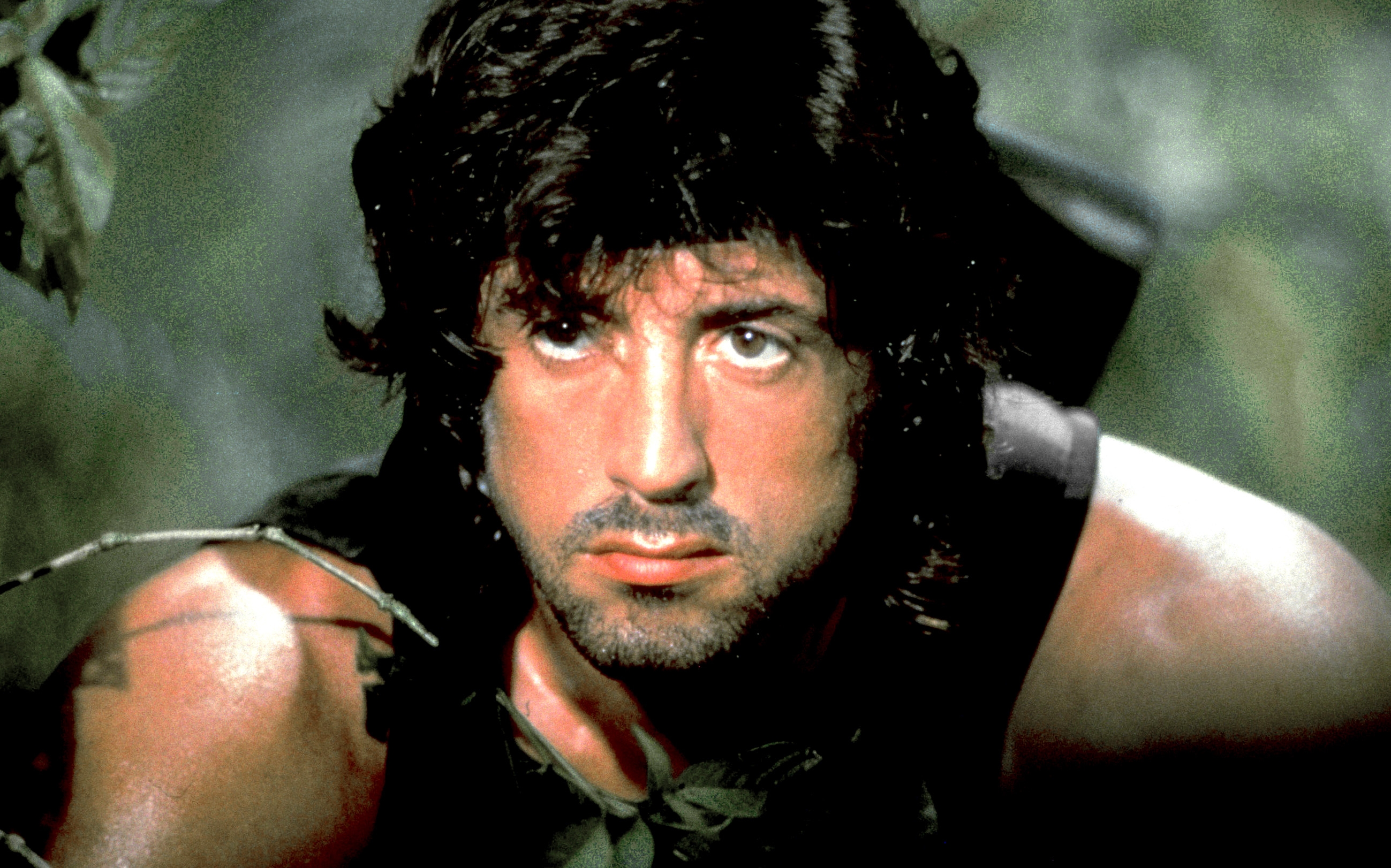 Image du film Rambo : First Blood b9e1a89c-1abc-48d1-9330-e50118325daa