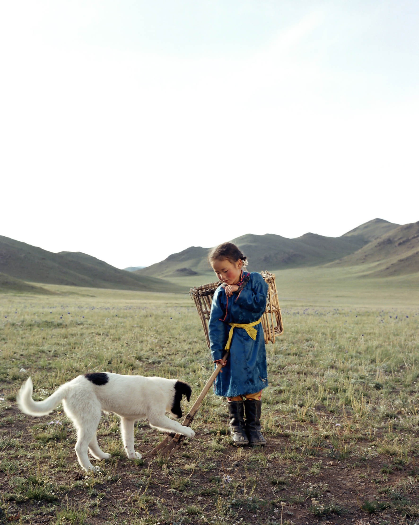 Affiche du film Le Chien jaune de Mongolie 395