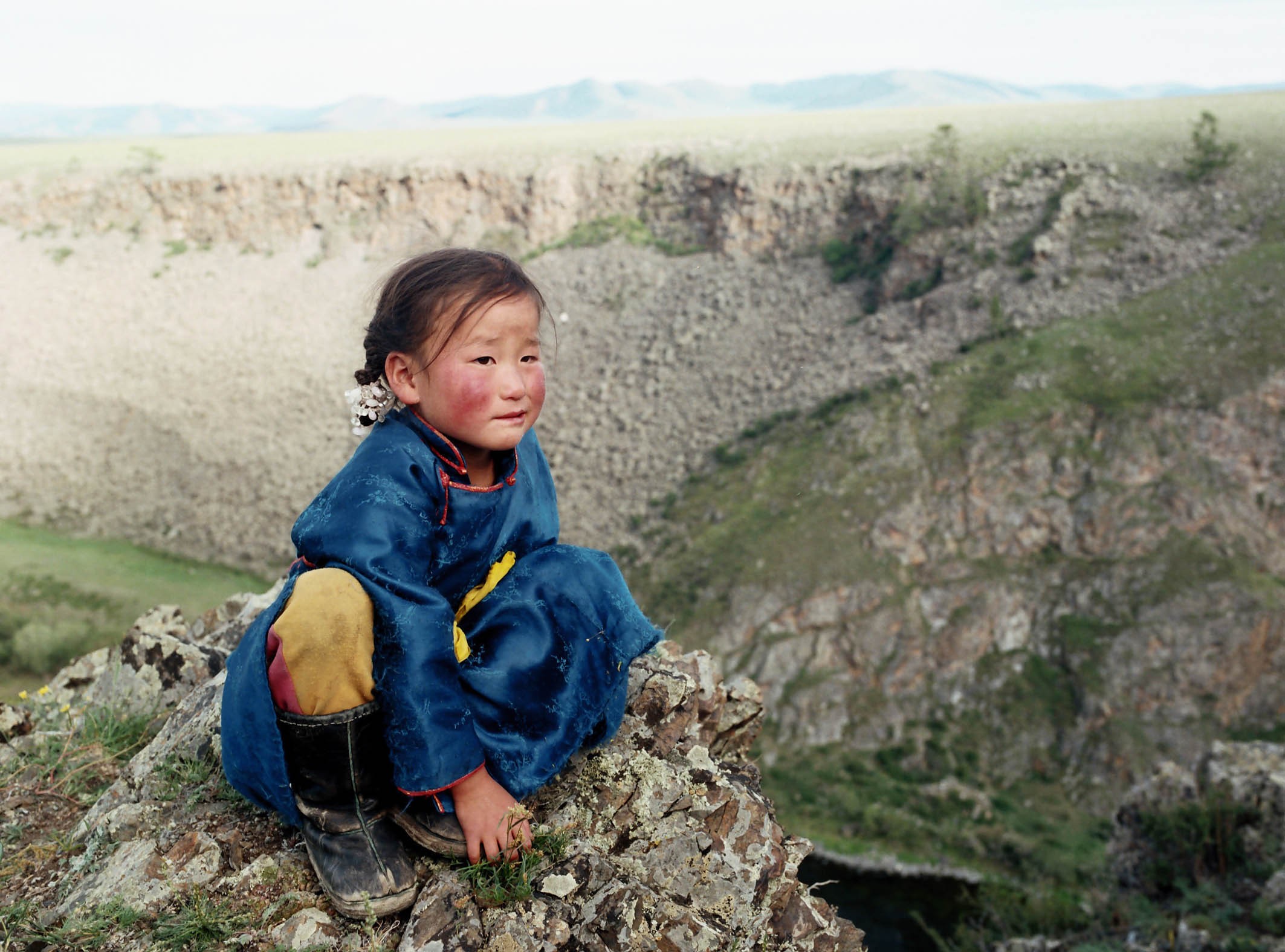 Image du film Le Chien jaune de Mongolie 33630e2a-28c6-4a33-93c6-110b67ac4396