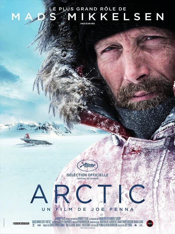 Affiche du film Arctic 136868