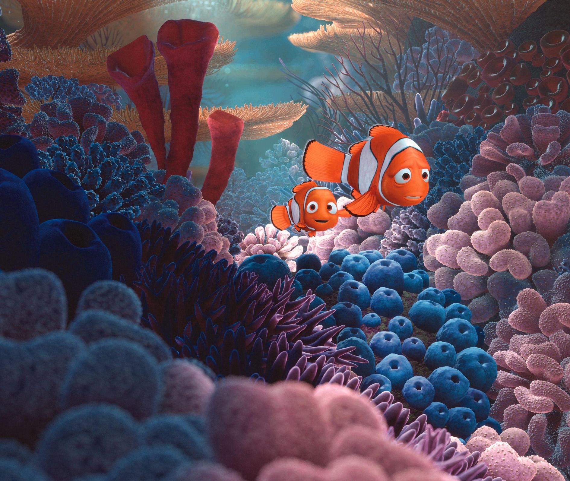 Image du film Le Monde de Nemo af70c327-201b-4e73-99f9-406b42ee4b73