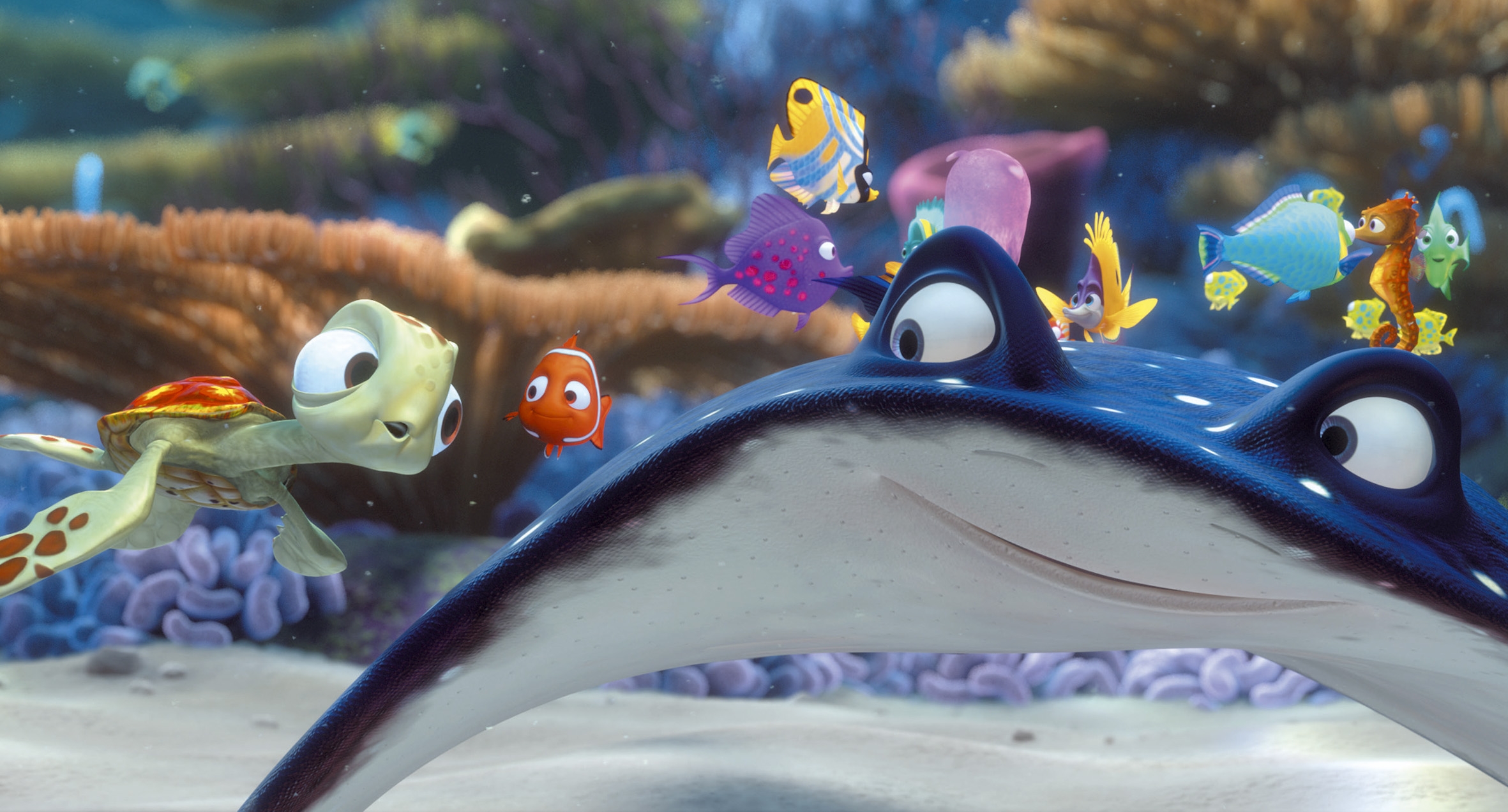 Image du film Le Monde de Nemo 2398b2ce-e01b-4f66-b7b6-49a26ef6513d