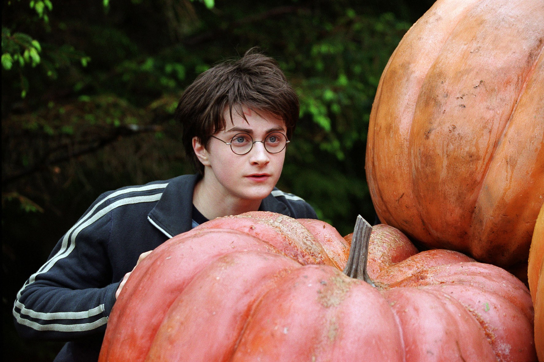 Image du film Harry Potter et le Prisonnier d'Azkaban 37884