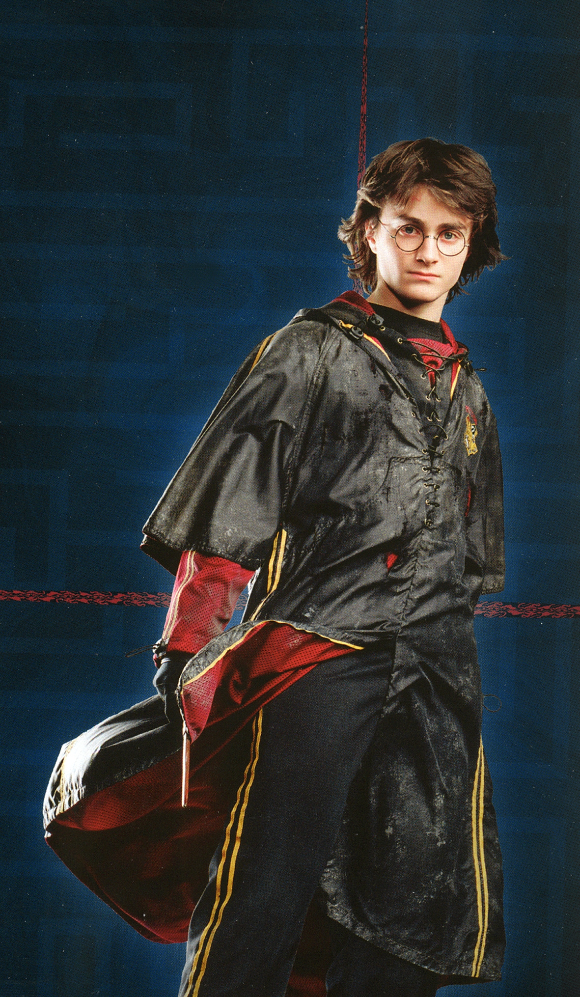 Affiche du film Harry Potter et la Coupe de feu 14006