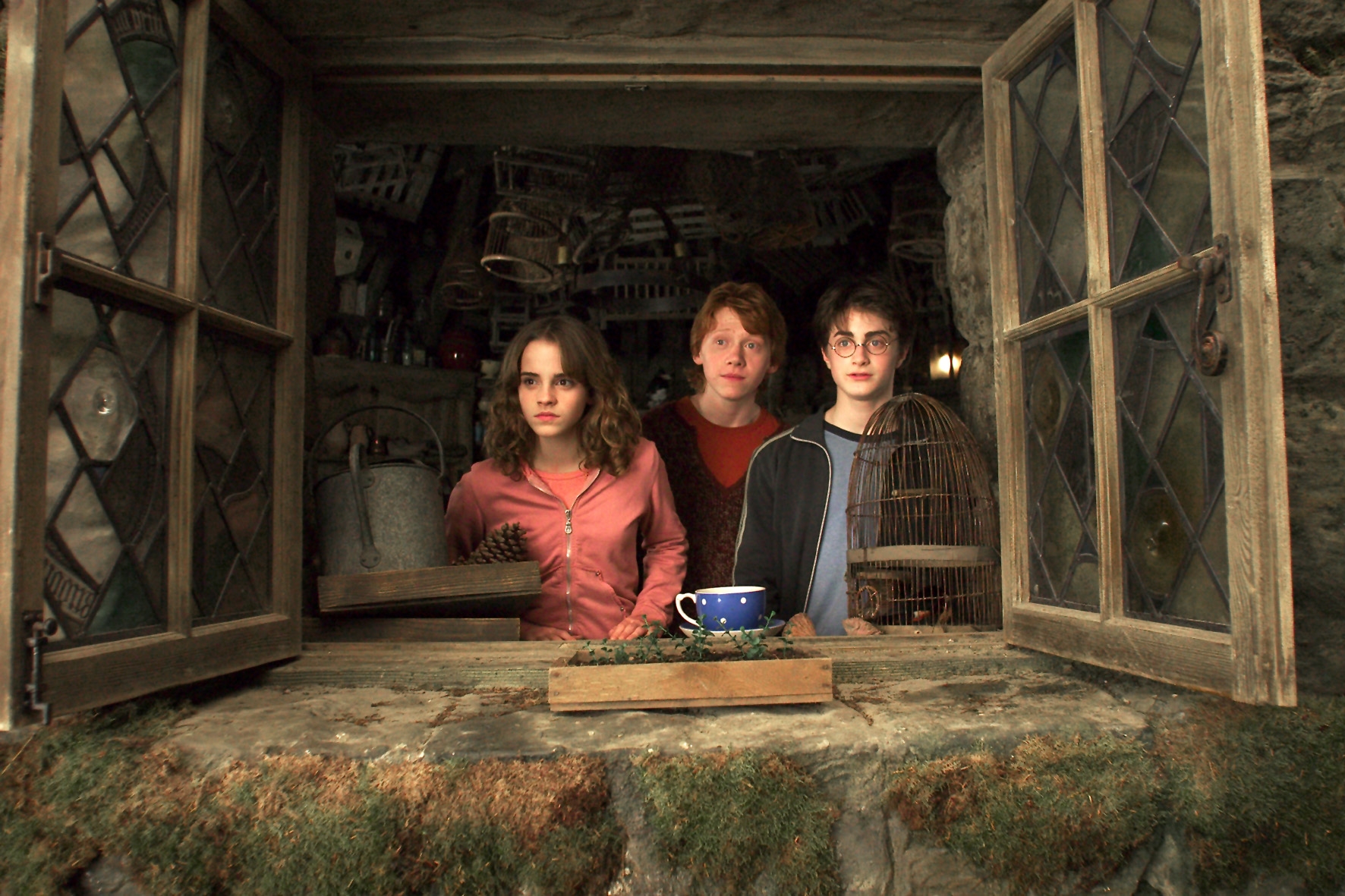 Image du film Harry Potter et le Prisonnier d'Azkaban dedf9893-f7a7-4d07-a143-316ec984a5d0