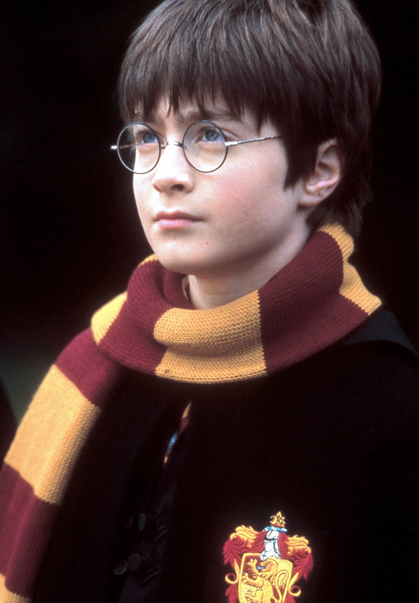 Affiche du film Harry Potter à l'école des sorciers 1500