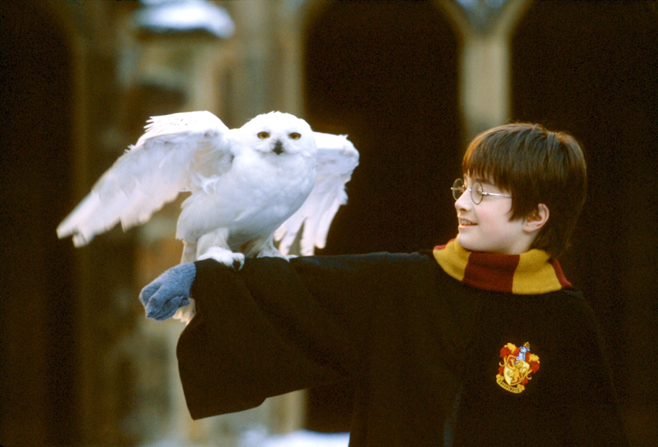 Image du film Harry Potter à l'école des sorciers 1419e28d-cfab-4c04-bec5-394f3cb91672