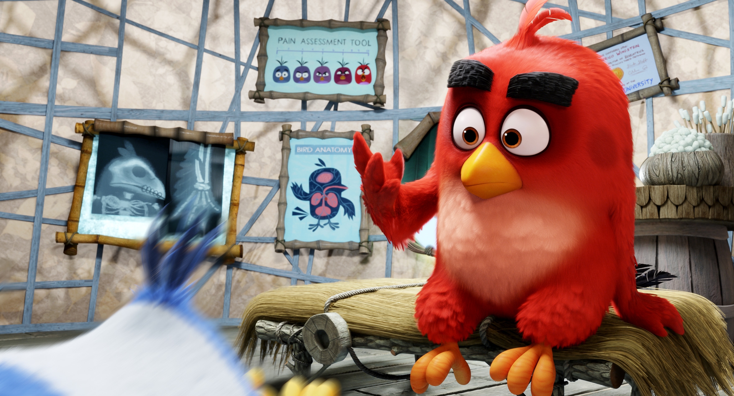 Image du film Angry Birds : le film 445c0fb6-bbcb-4869-9f6c-bc263d61e6bc