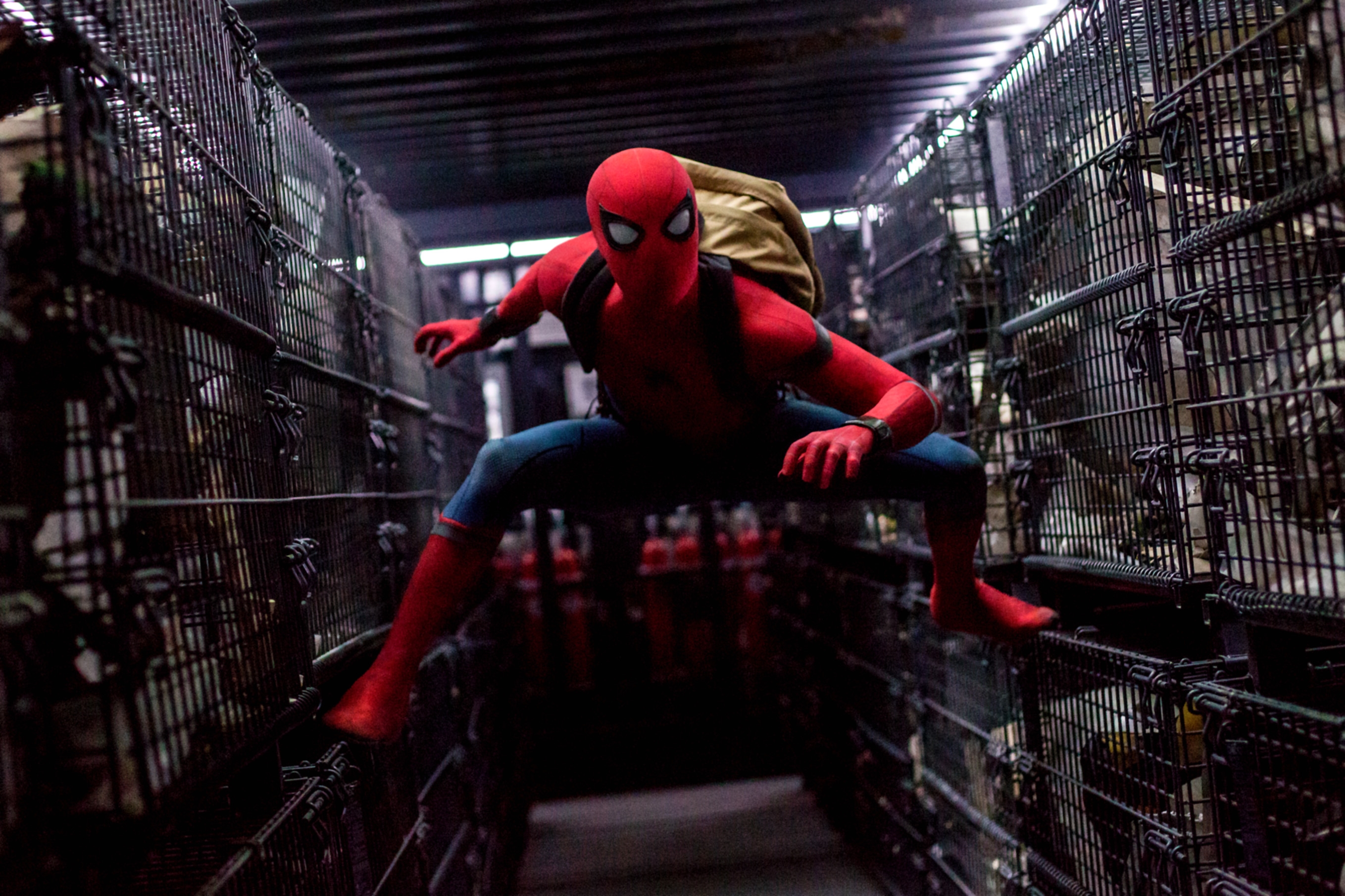 Image du film Spider-Man : Homecoming 7eb44133-c4b1-4139-85a2-8a8af93f6740