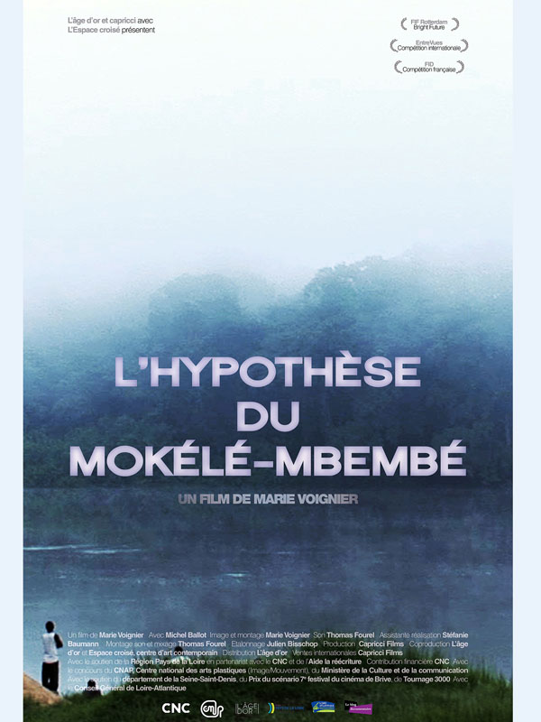 Affiche du film L'Hypothèse du Mokélé M'Bembé 13593