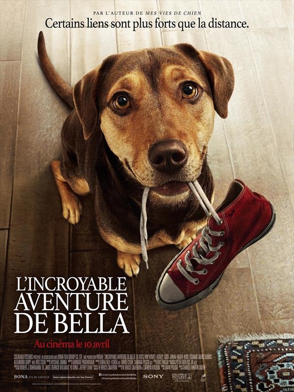 Affiche du film L'Incroyable Aventure de Bella 146750