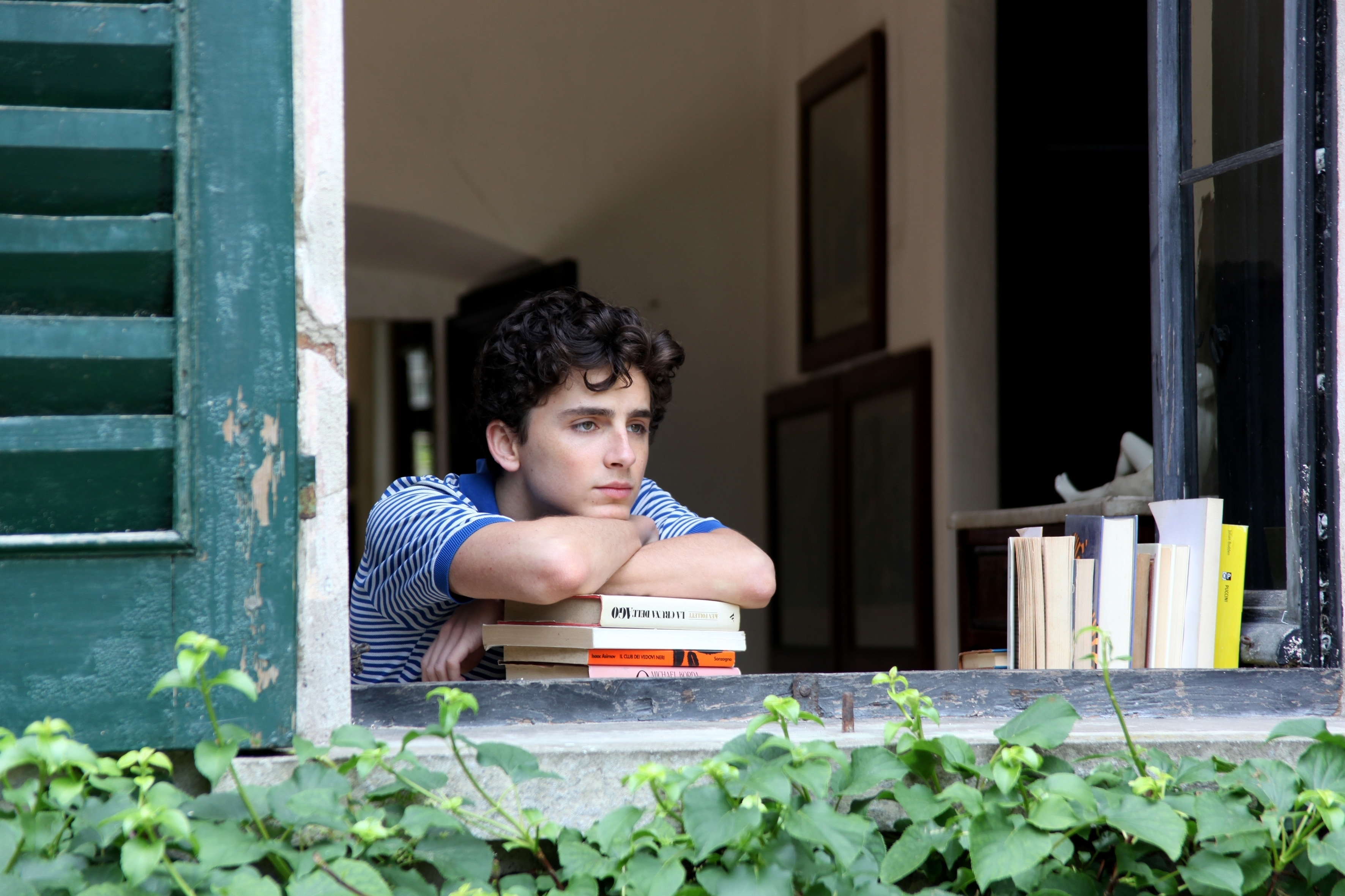 Image du film Call Me by Your Name 44739