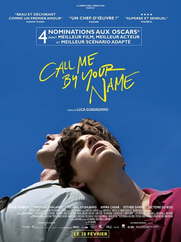 Affiche du film Call Me by Your Name 22805