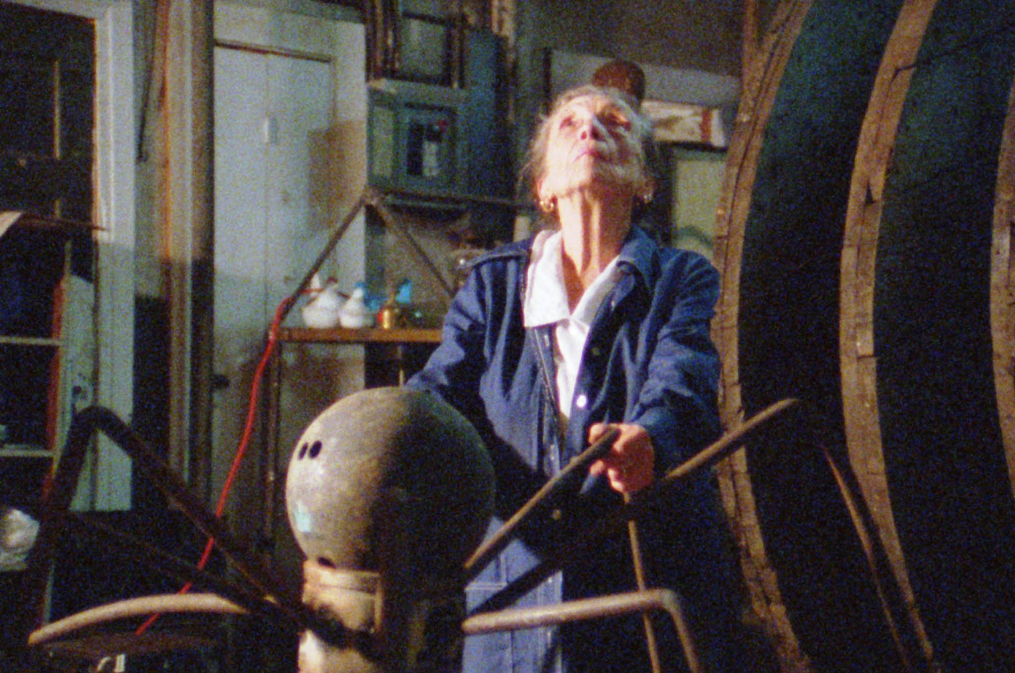 Image du film Louise Bourgeois : l'araignée, la maîtresse et la mandarine 4704