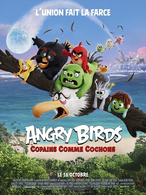 Affiche du film Angry Birds : copains comme cochons 161726