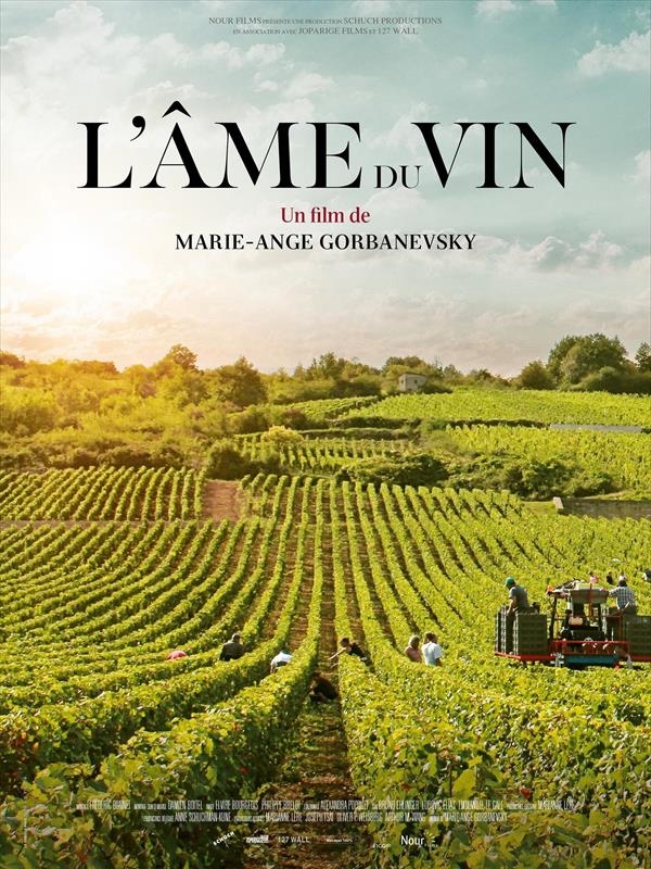 Affiche du film L'Âme du vin 159253