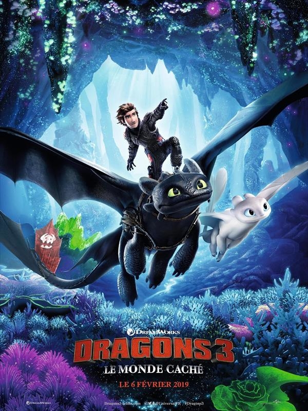 Affiche du film Dragons 3 : le monde caché 140377
