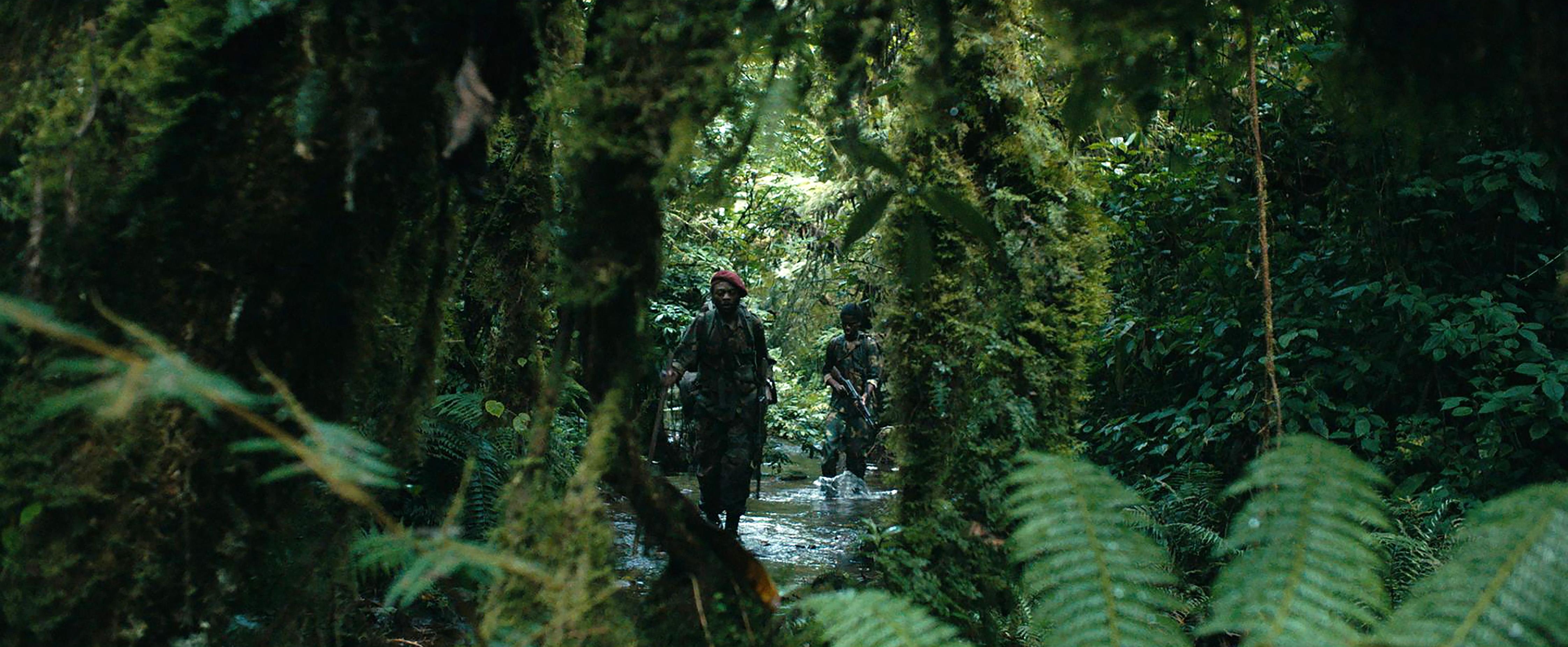 Image du film La Miséricorde de la jungle 54ff665e-b0cc-452d-8d6c-fb324d10dc27