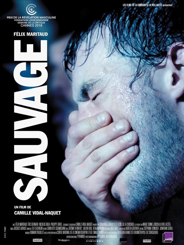 Affiche du film Sauvage 28908