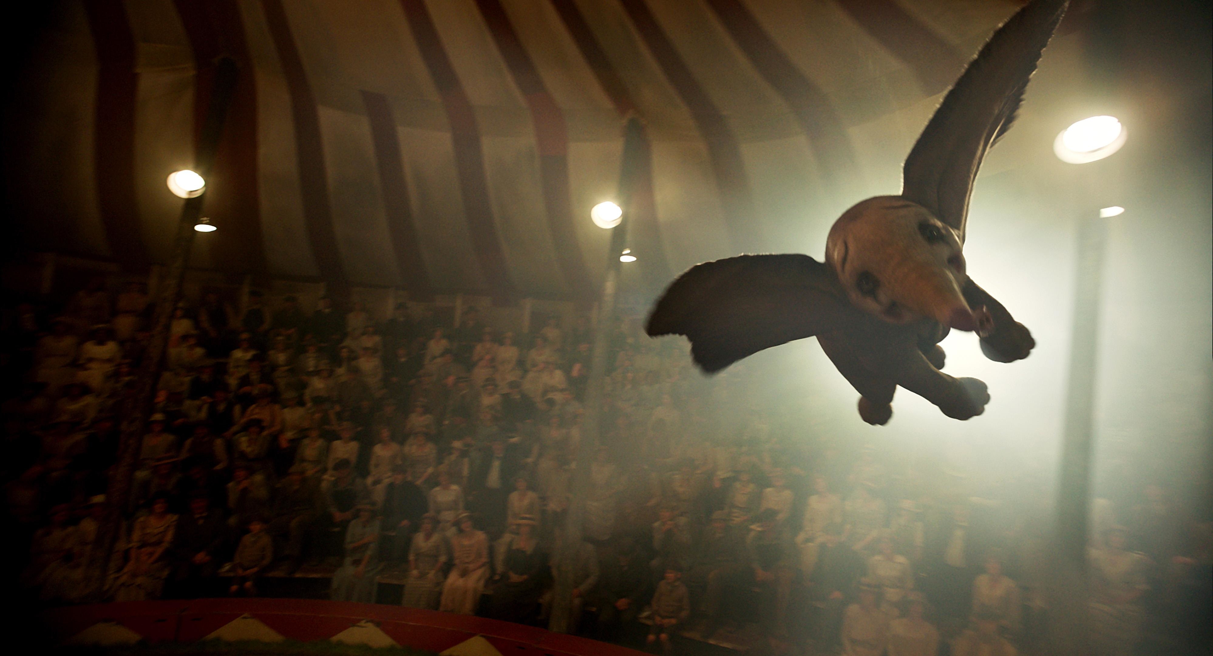 Image du film Dumbo d564a2eb-0826-49f2-a6b1-2014514e190f
